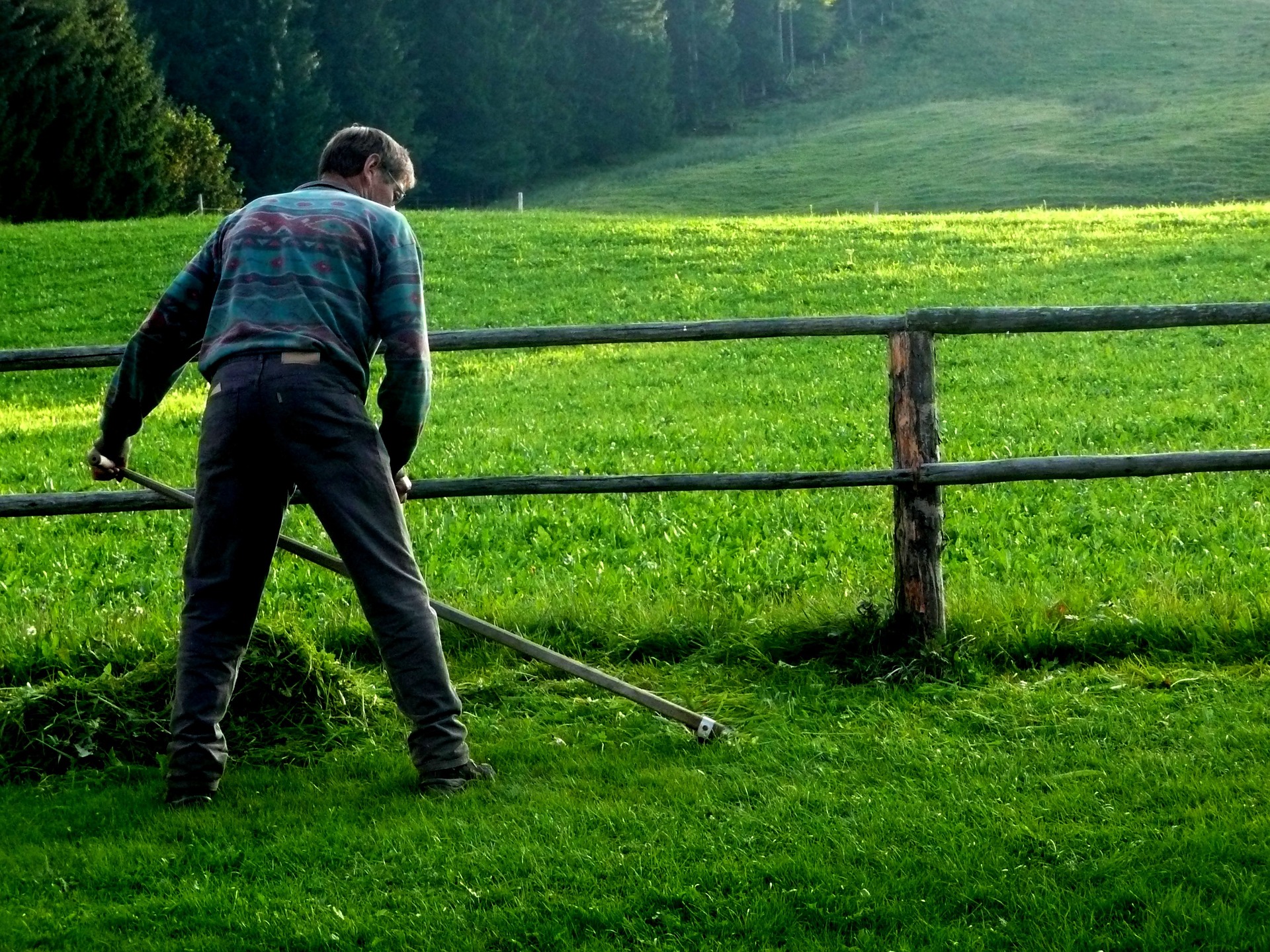 Auf einer grünen Wiese arbeitet ein Mann mit einer langen Sense.