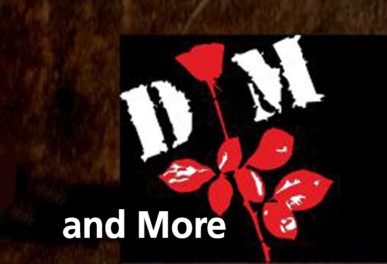 Eine rote Rose mit den Buchstaben D und M